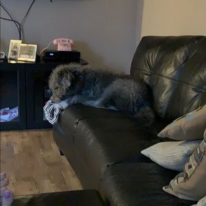 Meet your Posher, Shellie